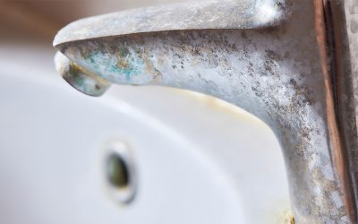 Cómo eliminar la cal del agua de forma definitiva